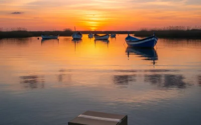 Mudanza en Catarroja
